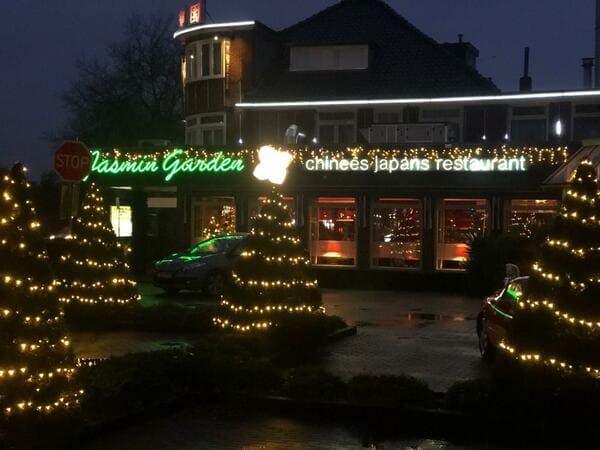 Kerstverlichting Jasmin Garden